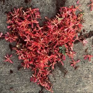 Meet your Posher, Debi